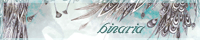 binaria