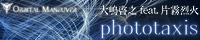 ORBITAL MANEUVER : phase three [phototaxis]